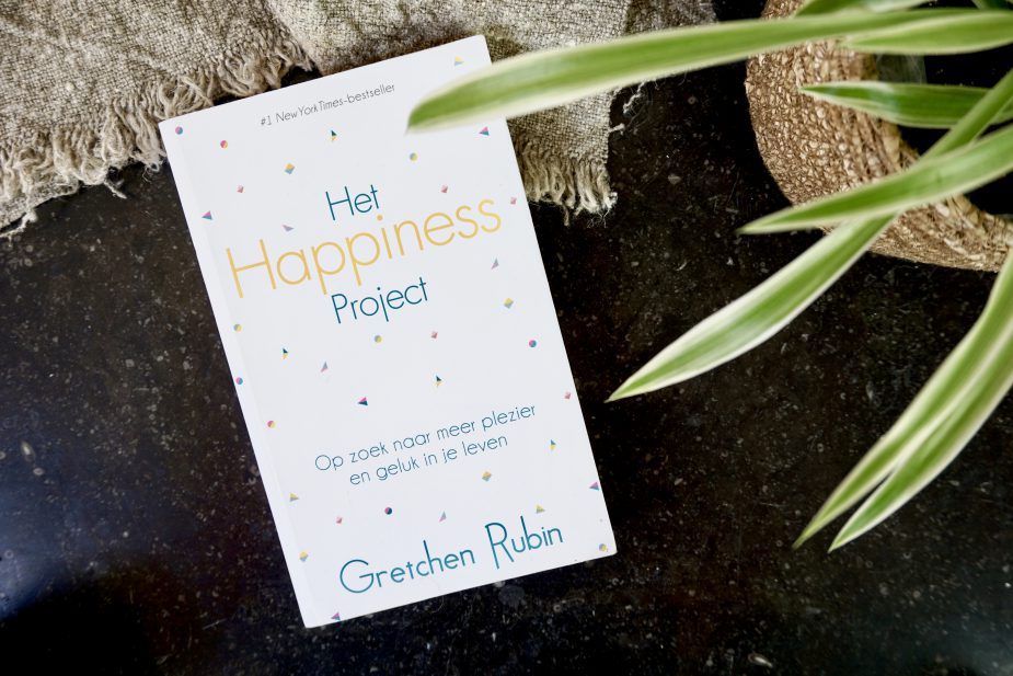 Het Happiness Project - Gretchen Rubi