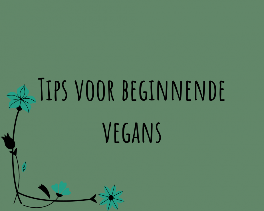 tips voor beginnende vegans