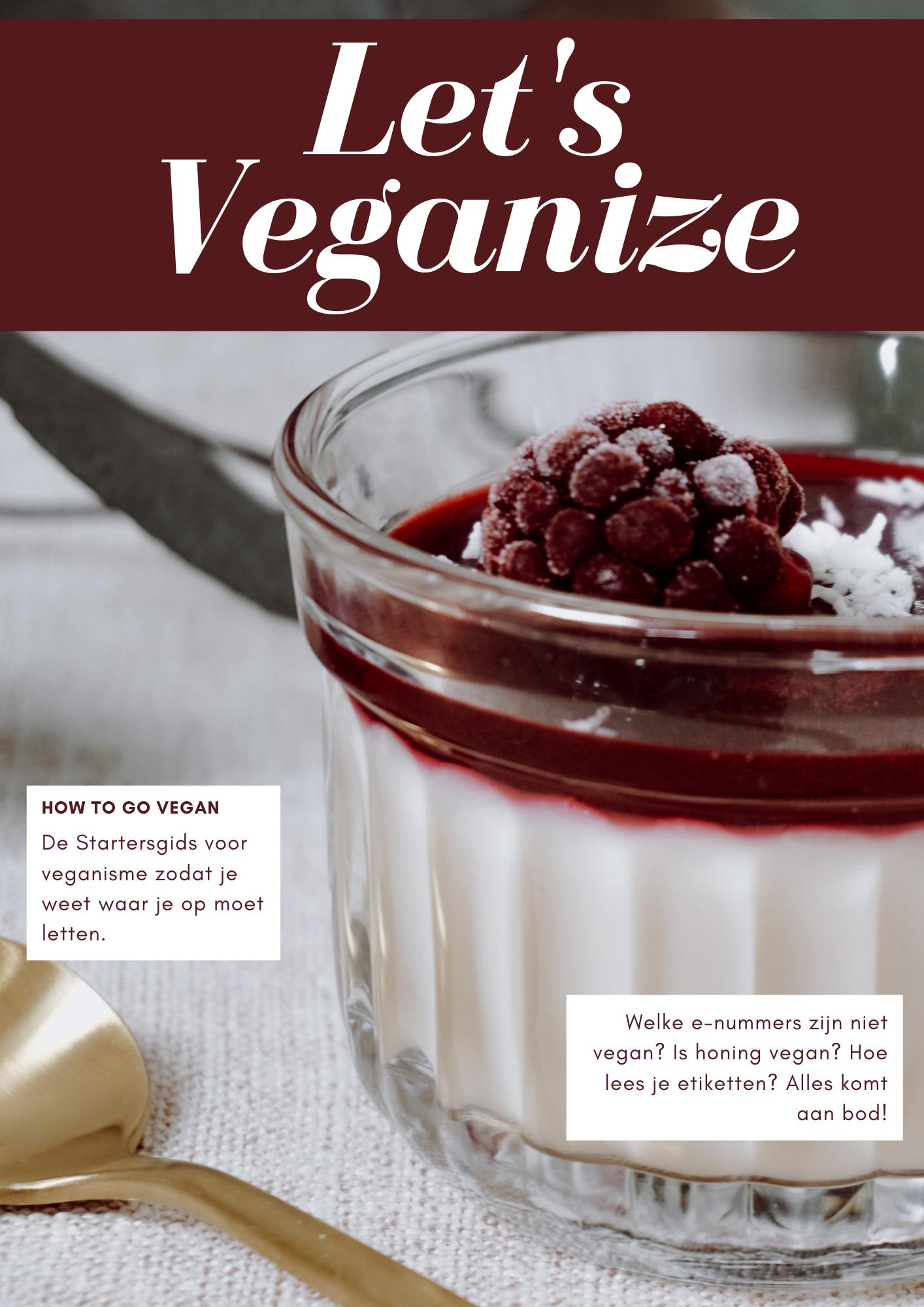 Gratis Dowload | De Vegan startersgids: Let’s Veganize